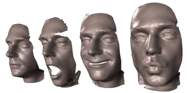 faces_crop.png