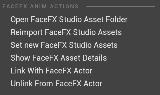 FaceFXAnimationContextMenu.png