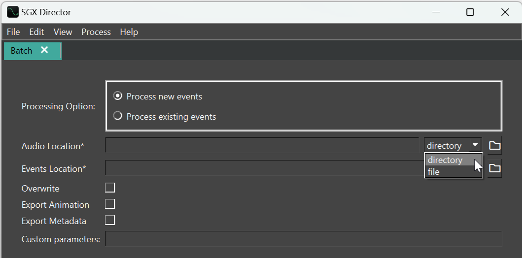 audio_selection_option.png